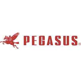 Logo Pegasus